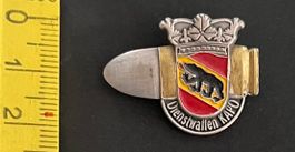 Dienstwaffen Kapo, Berner Wappen / Pin