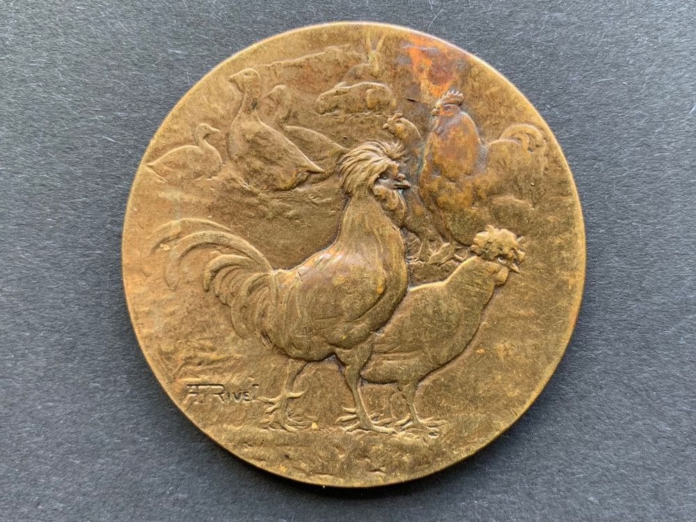 MEDAILLE Fidélité Alsace Lorraine Bronze- GUERRE 1914/1918 Avec Agrafe 1 Etoile