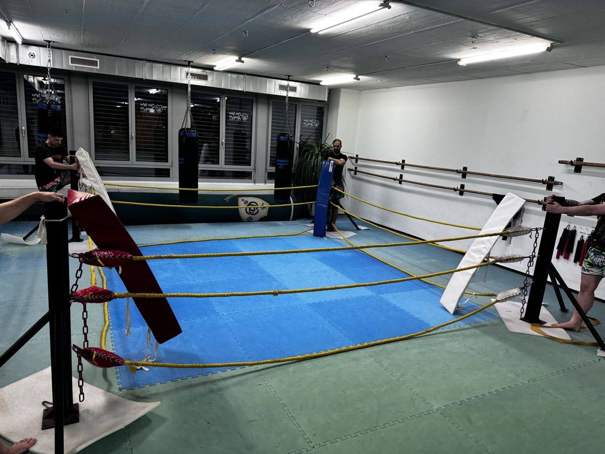 Hometrainer: Professioneller Boxring – Usato da Zürich venduto da sold5