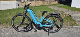 Flyer E-Bike