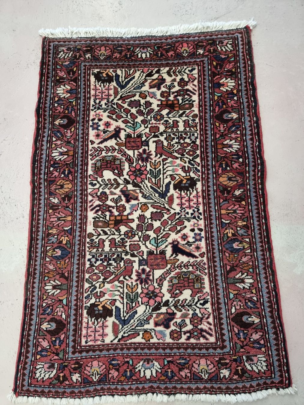 Tappeti: 80x125 Orientteppich Handgeknüpft – Usato da Olten venduto da Mezopotamya