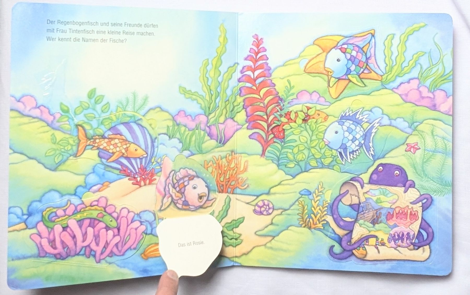 Libri: Der Regenbogenfisch und seine Freunde - Marcus Pfister – Usato da Wängi venduto da ABIZONE-86 1