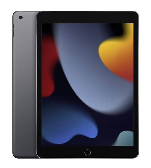 Apple Tablet PC: Apple iPad 9ème génération, 64 BG, Wifi – Usato da Saxon venduto da ven_2gxj