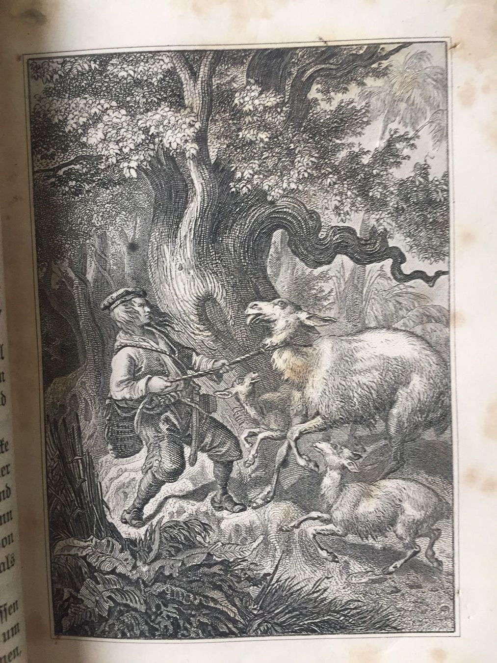 Libri: Robinson der Jüngere 1889 – Usato da Gerlikon venduto da jabadabadu 4