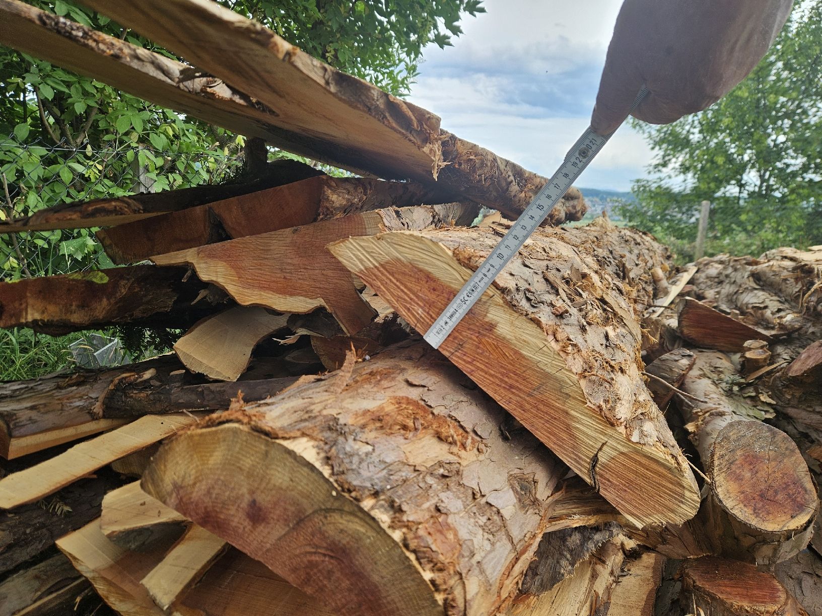 Articoli in legno: Eibenabschnitte  – Nuovo (secondo la descrizione) da Gontenschwil venduto da Studi1958 6