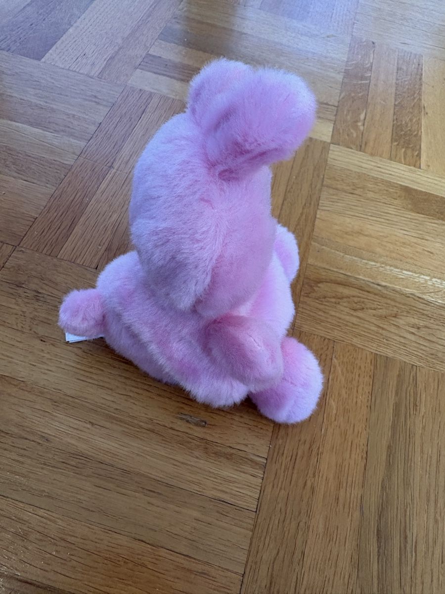 Jouets: BT21 Cooky – Neuf (Voir description) à Therwil par nin_n9zp 2