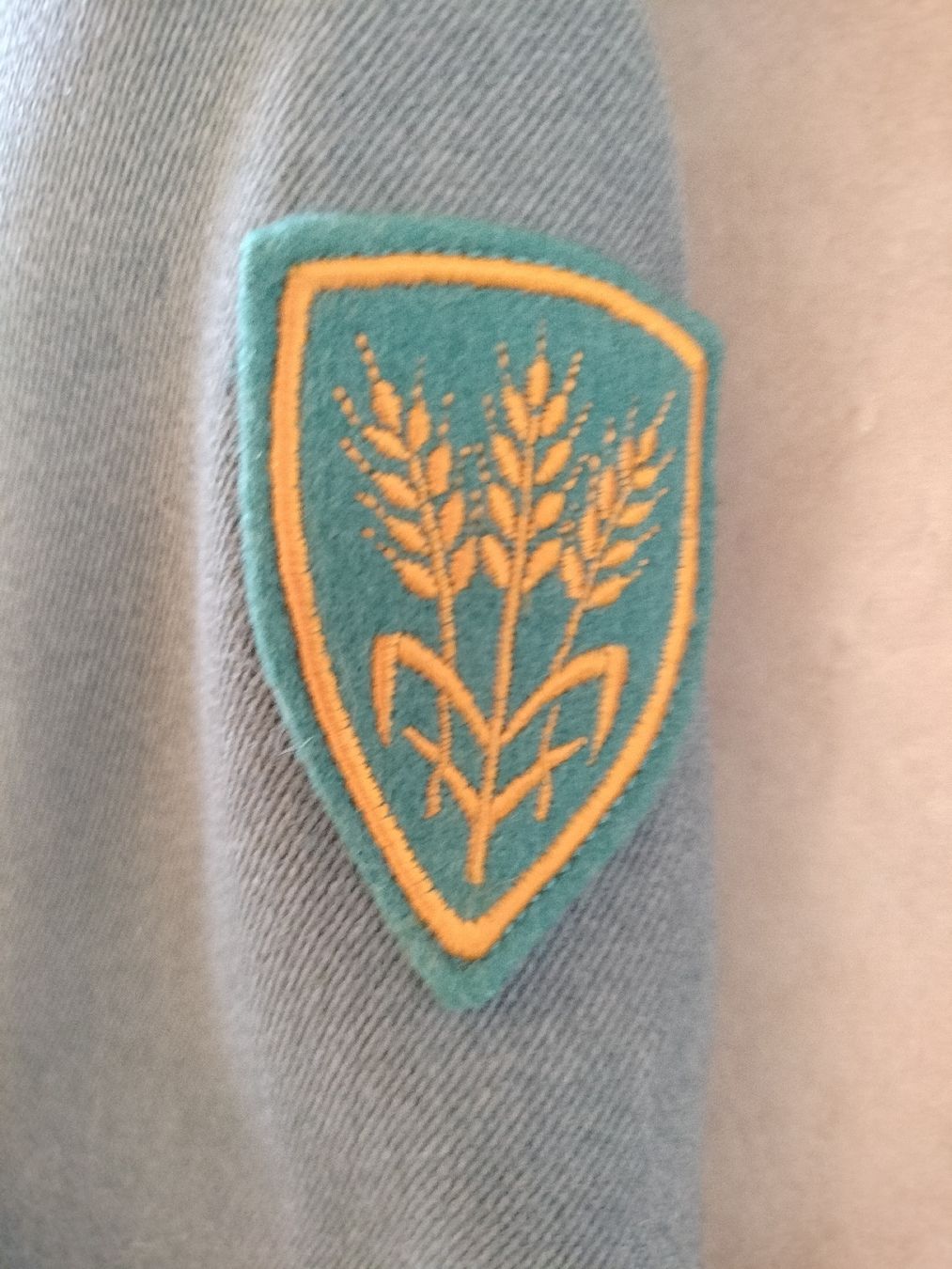 Schweizer Armee Uniformen: Schweizer Armee Militär Uniform – Gebraucht aus Schwanden Sigrisw von Wibe81 3