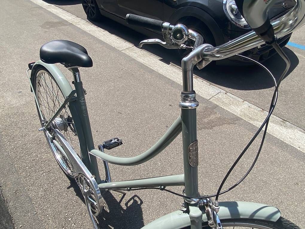 Velos: Pelago Brooklyn  – Gebraucht aus Zürich von Ricarda12345 4