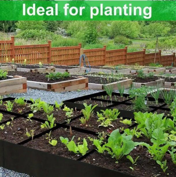 Box contenitori: Große Garten Pflanzenbeet mit 4x Pflanztaschen – Nuovo e nell'imballaggio originale da Amriswil venduto da Ravinvida 3