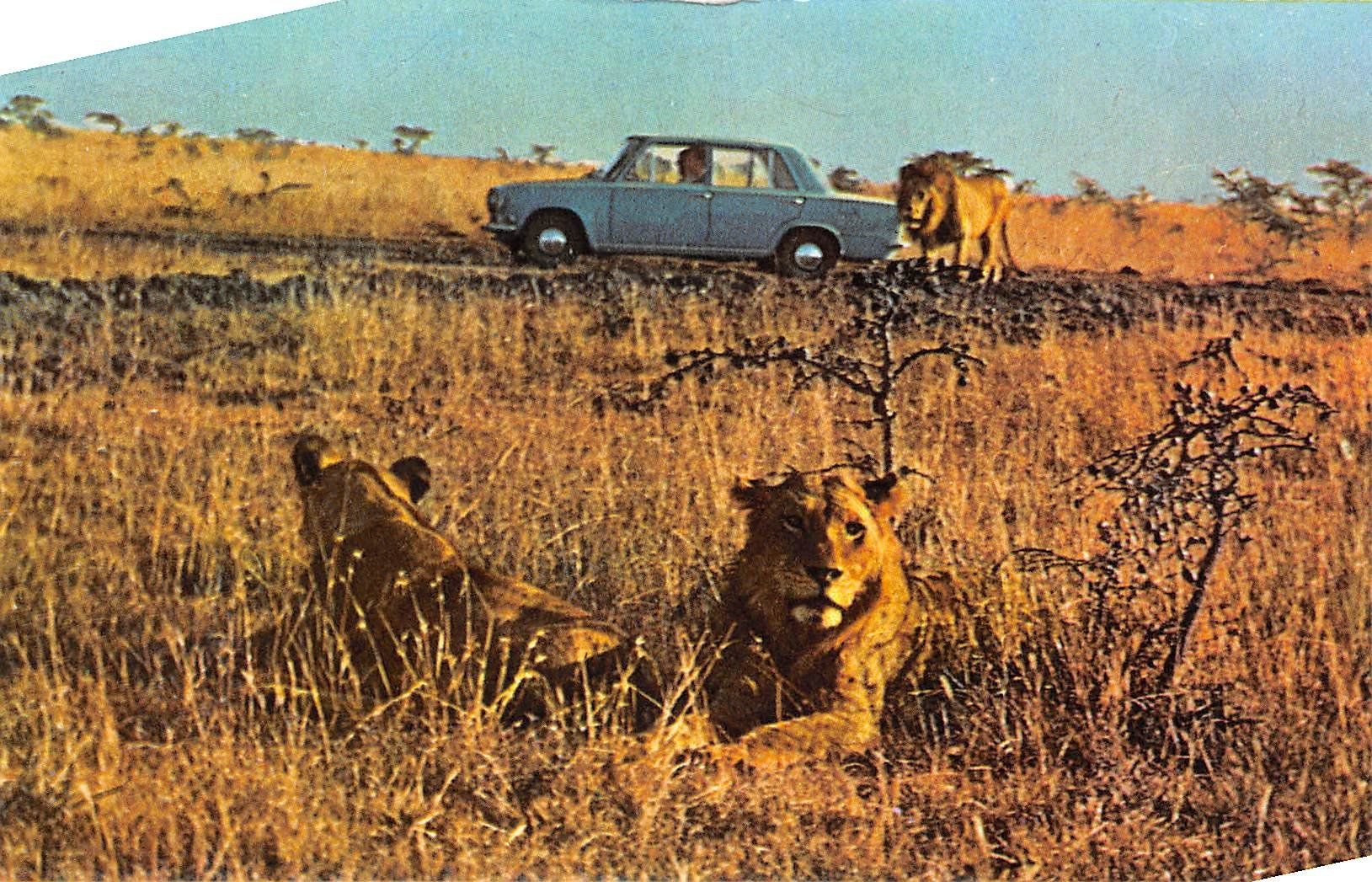 Cartoline postali: 7 Karten Fiat 124 – Usato da Ottikon b.Kemptth. venduto da Neptun1974 6