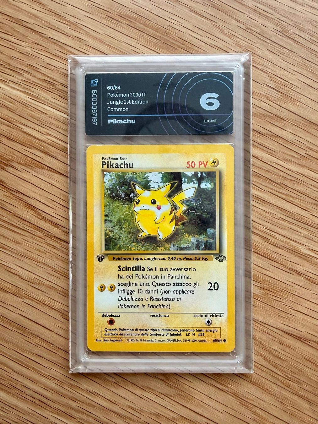 Pokémon Carte collezionabili: Pokémon Pikachu 1st Edition Jungle 6 EX-MT – Nuovo (secondo la descrizione) da Niederlenz venduto da joh_6fxx