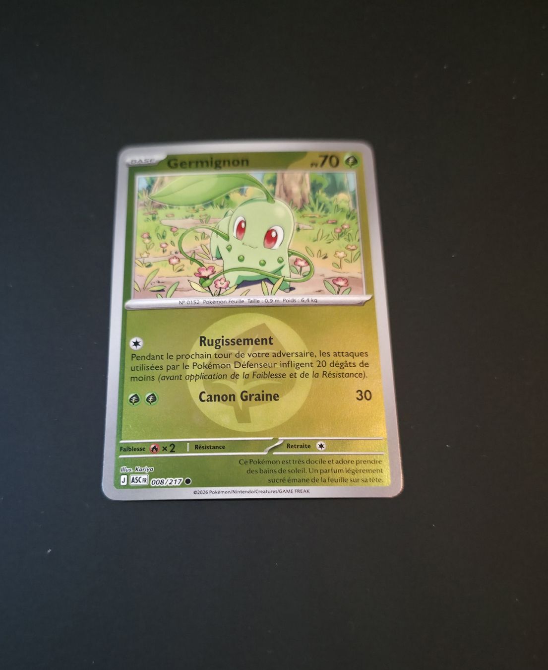 Pokémon Carte collezionabili: Asc 008 Reverse Energie – Nuovo (secondo la descrizione) da Le Lignon venduto da Nathium