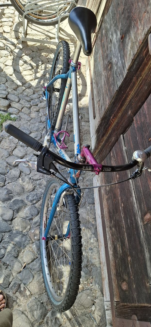 Raleigh Velos: Kult MTB Raleigh – Gebraucht aus Adliswil von trujillo01 2