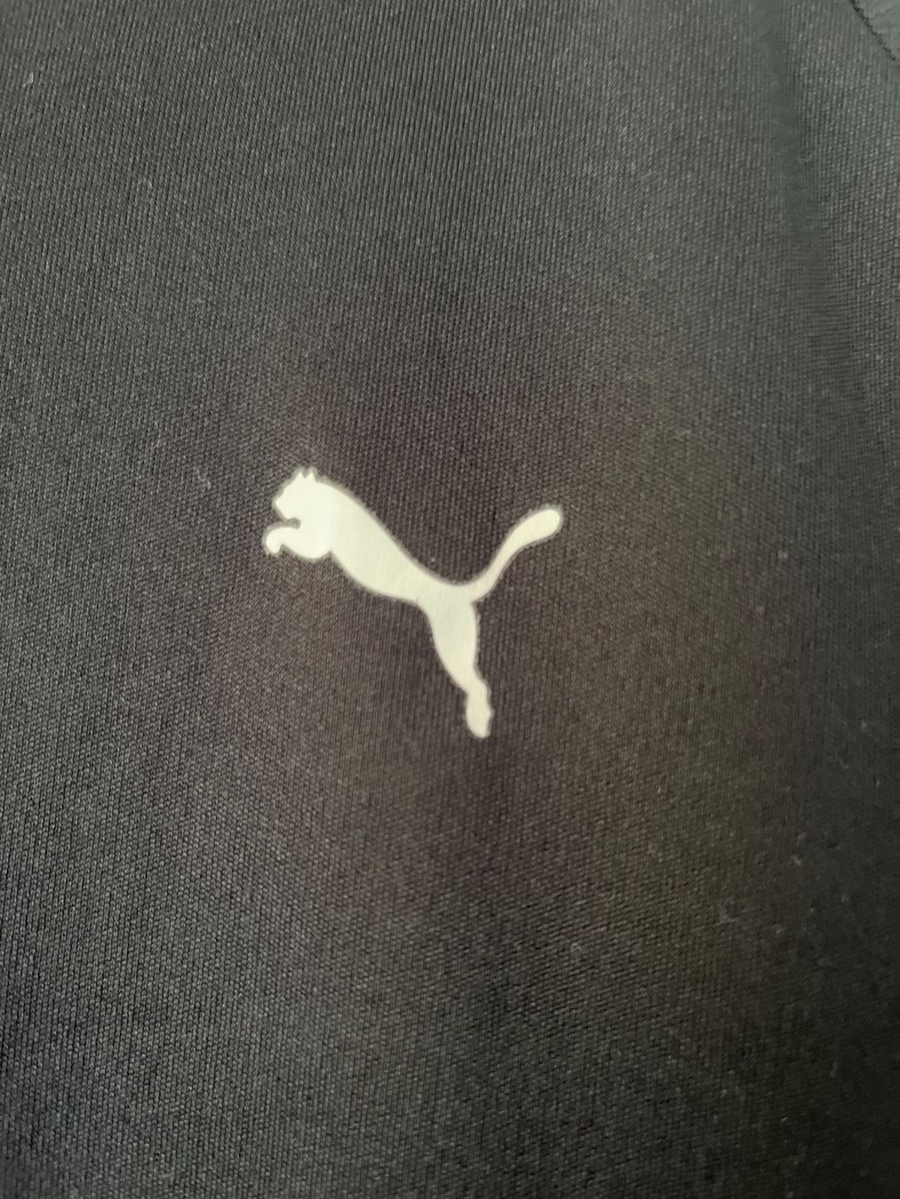 Puma T-shirt: Puma Sport Tshirt – Usato da Reinach ag venduto da Wildschwein_Braten 2