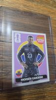 Panini CAICEDO Extra Sticker Lila PERFEKT ab 1.-