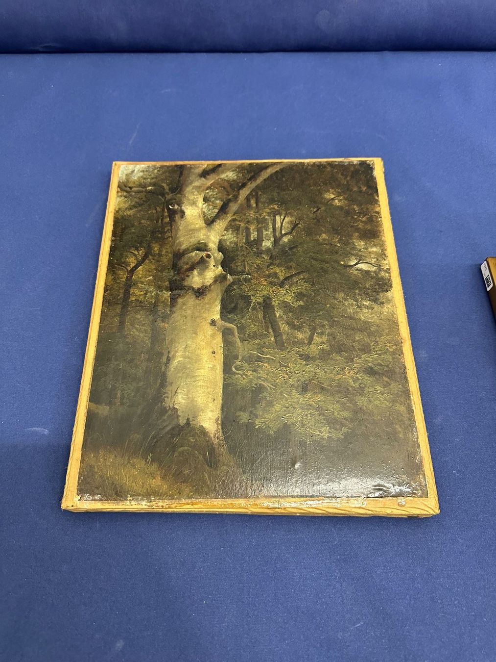 Dipinti: Alexandre Calame – Usato da Liestal venduto da FuV01 5