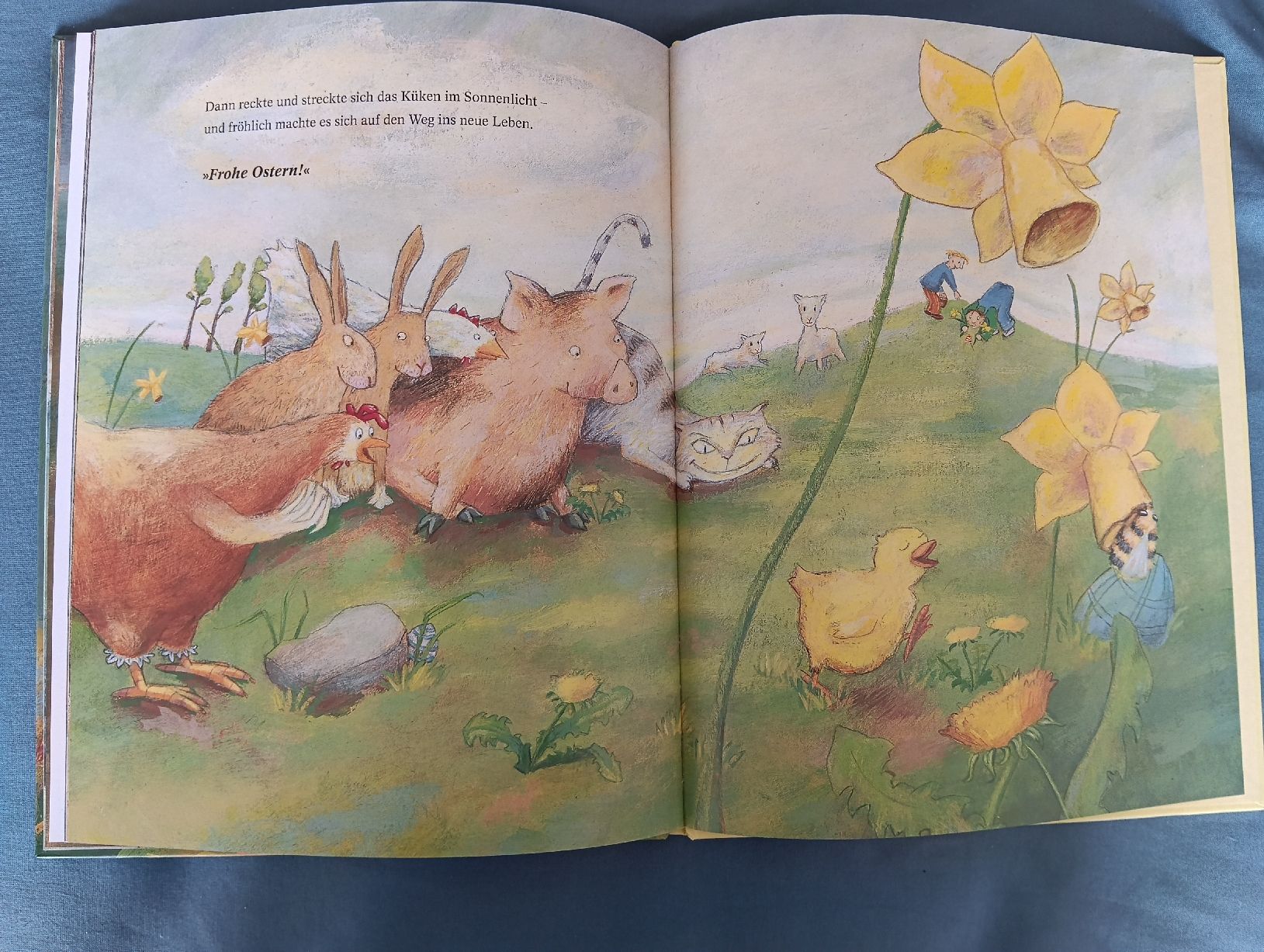 Libri: Das Osterküken Elschner, Junge neu – Nuovo (secondo la descrizione) da Wettingen venduto da penelope39 3