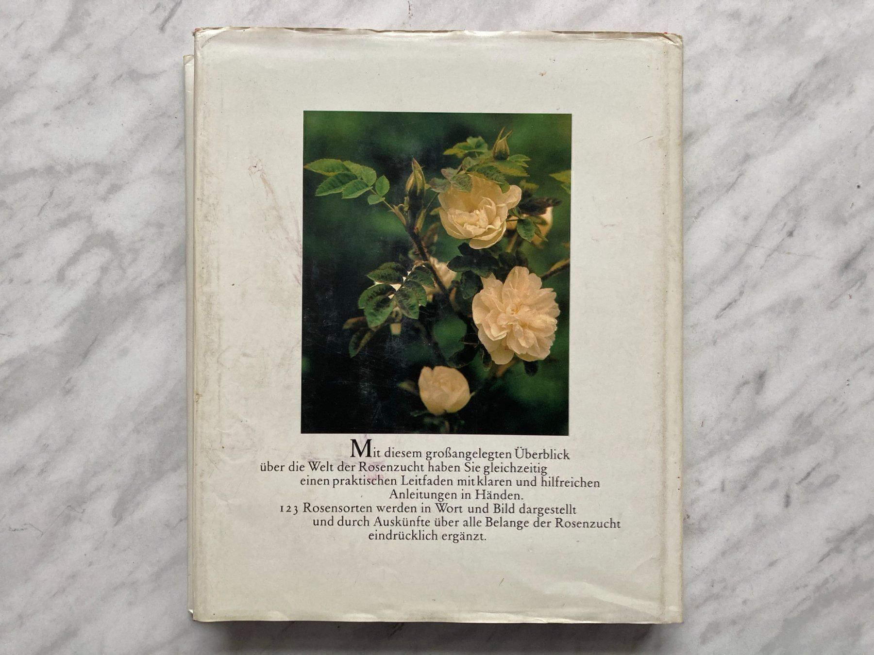 Libri: Die schönsten Rosen der Welt – Usato da Mirchel venduto da buecher_wurm 9