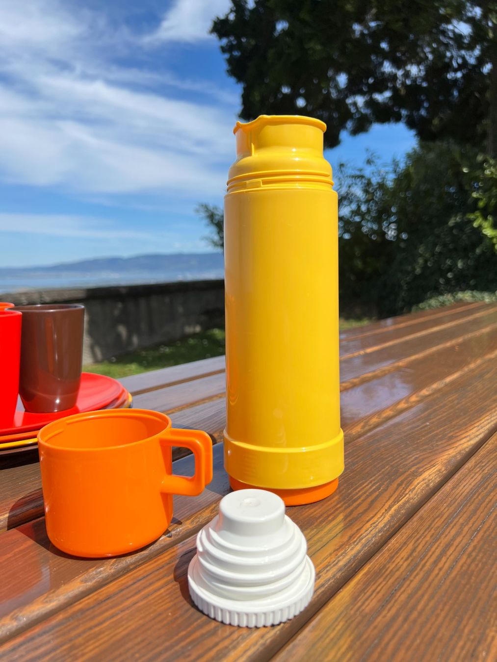 Thermos Borracce & Thermos: Vintage Thermosflasche - W.Germany – Usato da Walzenhausen venduto da stilvollwohnen 3