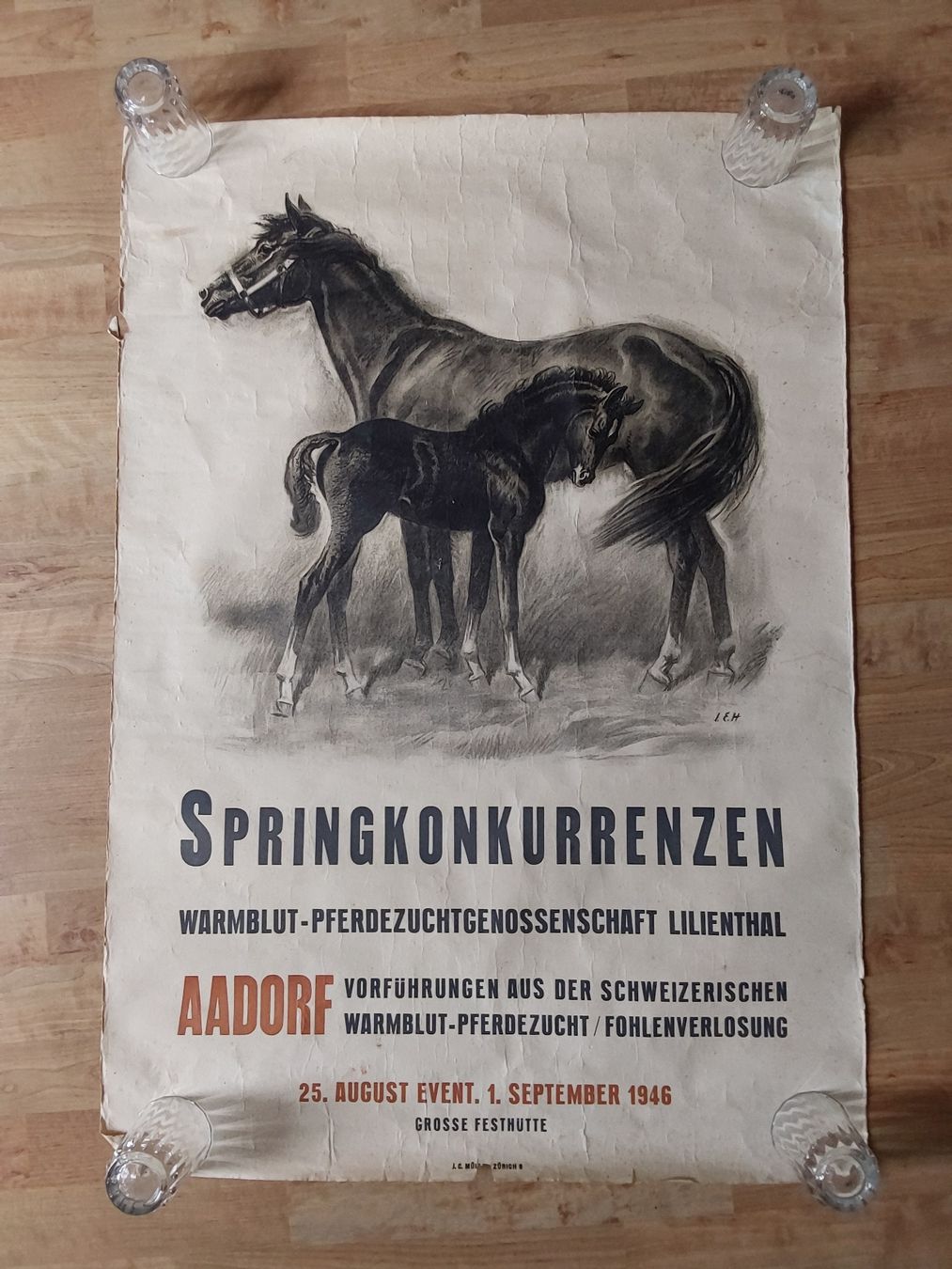 Grafica & Litografie: Hugentobler Iwan 69x100cm. Plakat  – Usato da Steinach venduto da Chilli1957
