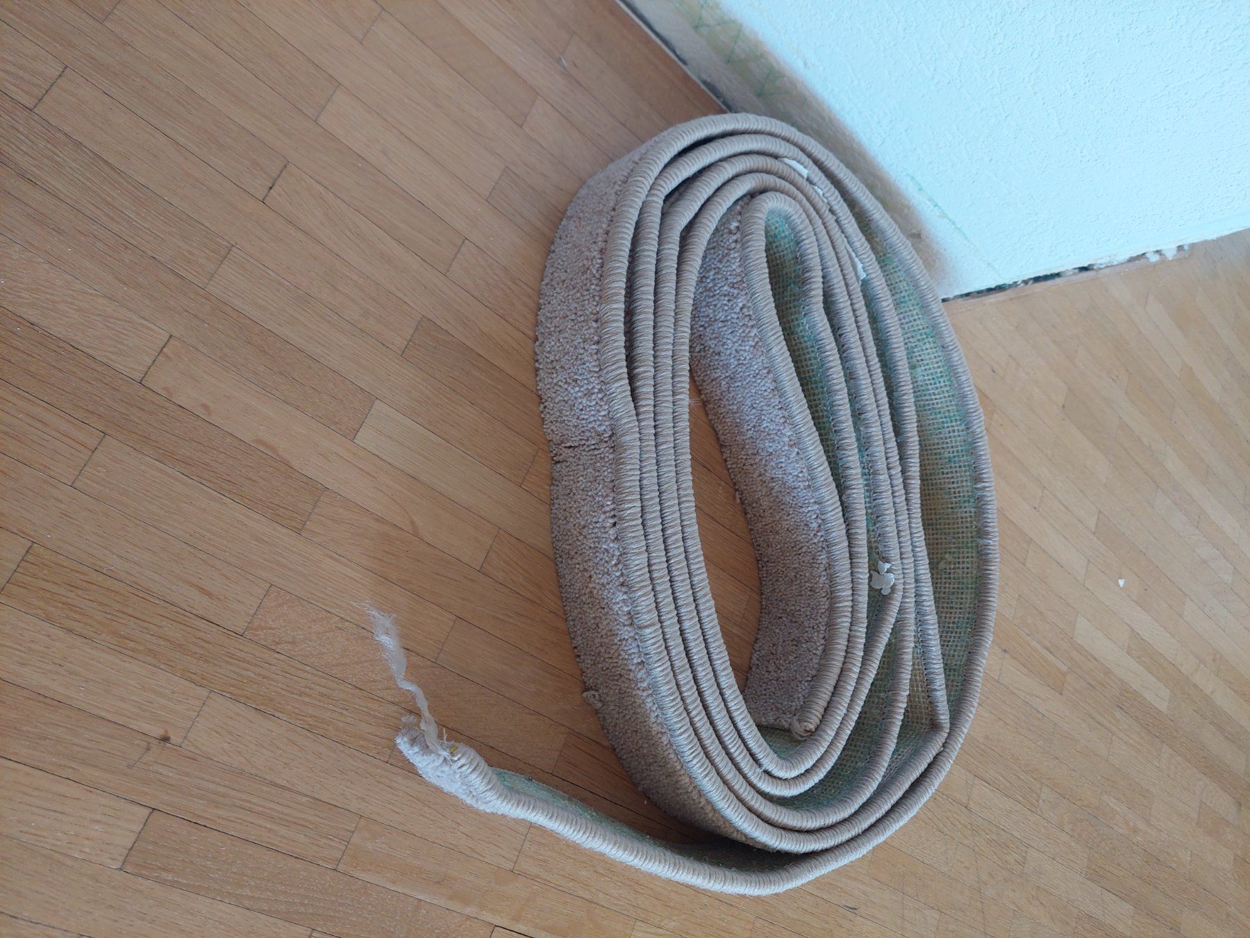Tapis: Auslegware / Teppich – D'occasion à Fehraltorf par lameduckalex 4