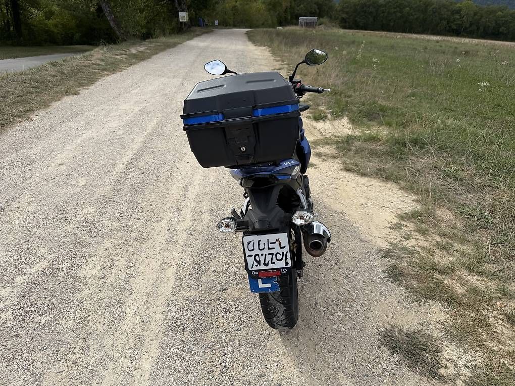 Strada: Sym Wolf 250i – Usato da Petit-Lancy venduto da Londnon 3