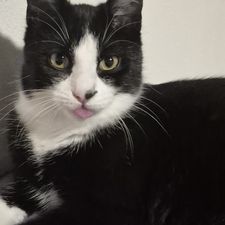 Profile image of Susy.D