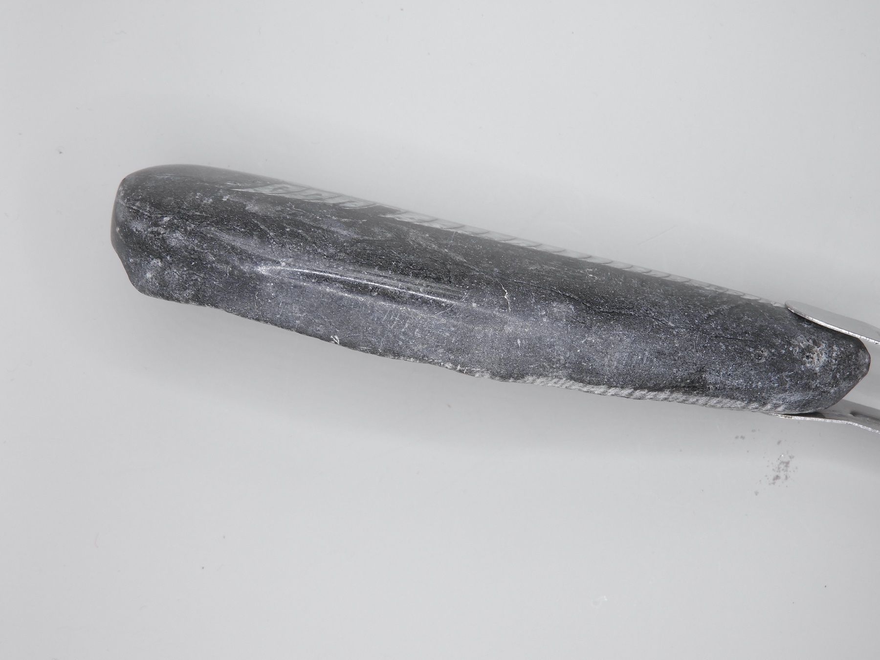 Fossili: Fossil Orthocera 13 cm Einzelstück – Usato da Horw venduto da luzernicus 2