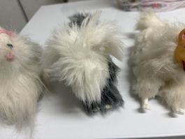 Vintage Barbie Hunde Collie, Schnauzer, Sammlerstücke,