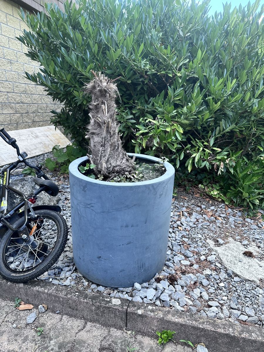 Blumentöpfe: Pflanzgefäss / Blumentopf XXL – Gebraucht aus Tägerig von Unbekannt5522