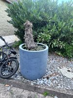 Pflanzgefäss / Blumentopf XXL