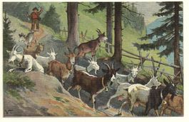 Künstler-Litho ALPSTEIN Alpidyll, Hirte mit Ziegen