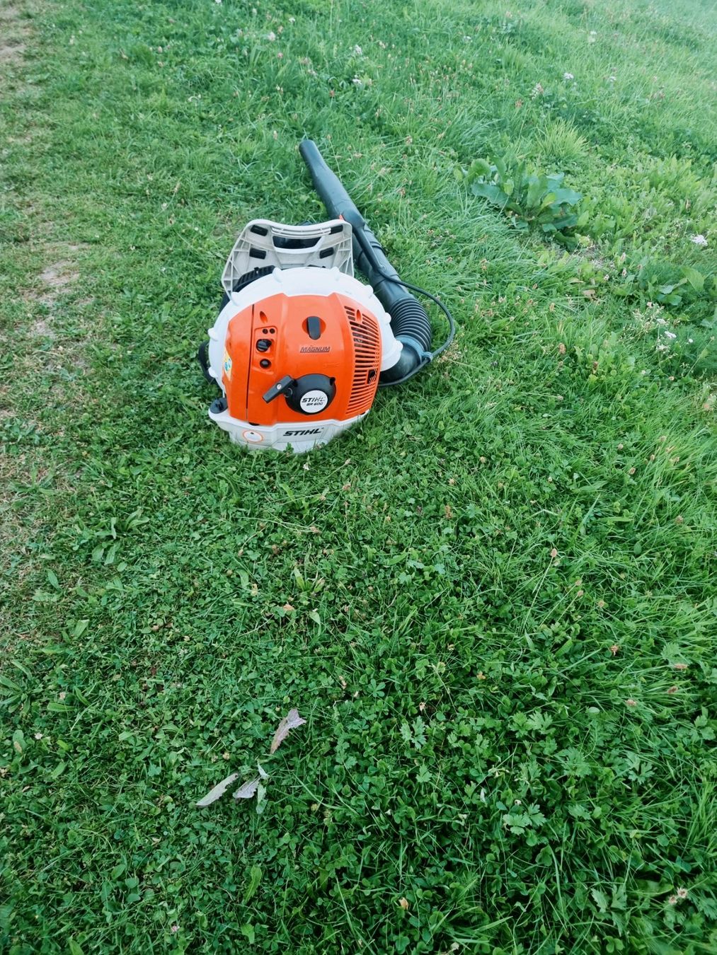 Stihl Laubbläser & Laubsauger: STIHL BR 600 MAGNUM – Gebraucht aus Emmenbrücke von