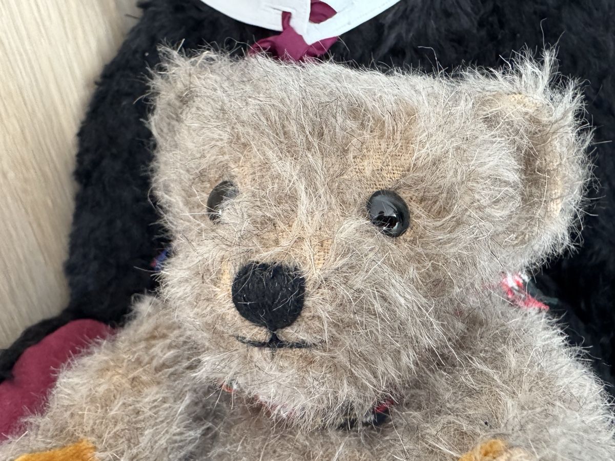 Bambole: Emmet Teddy Bär Merrythought – Nuovo (secondo la descrizione) da Emmenbrücke venduto da Steipler 2
