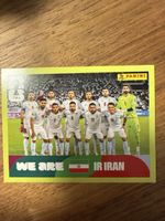 Panini Fifa IRN 13