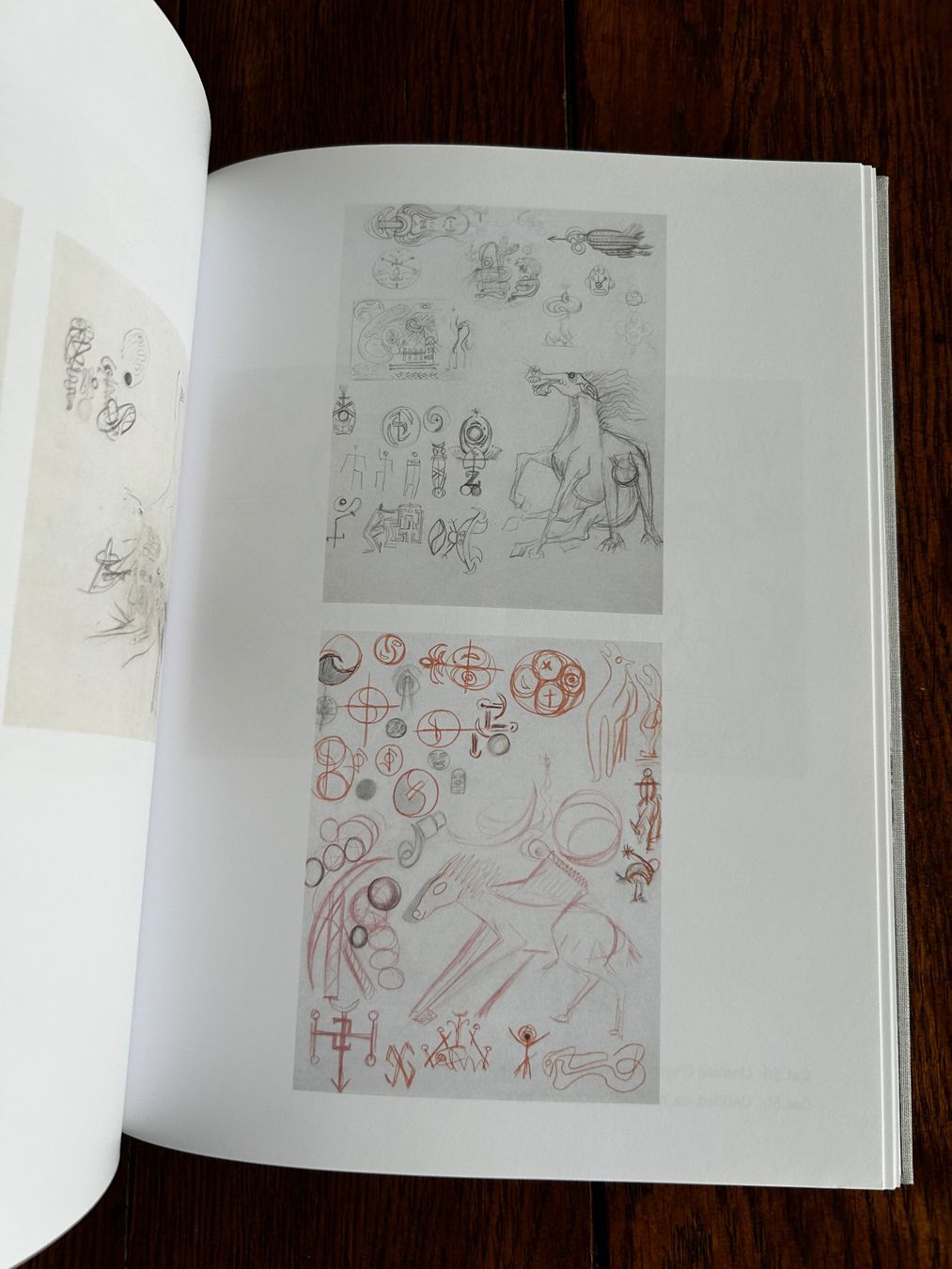 Bücher: The Figurative Pollock – Gebraucht aus Basel von Peter_schlemihl 7