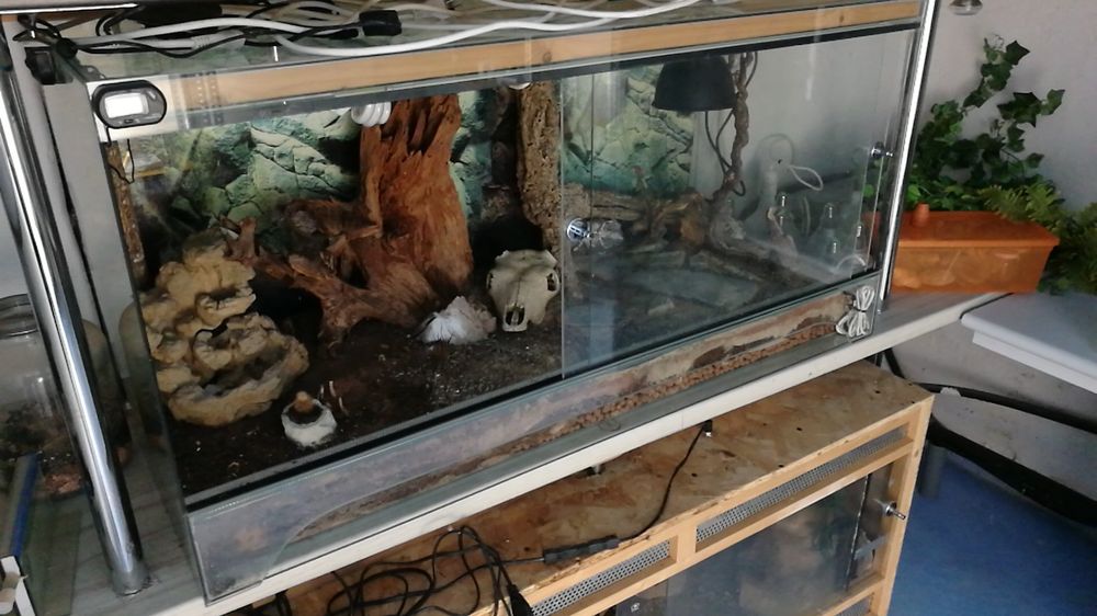 Gatuida Reptilien Befeuchtungsschlauch - Flexibler Verlängerungsschlauch Mit Saugnäpfen