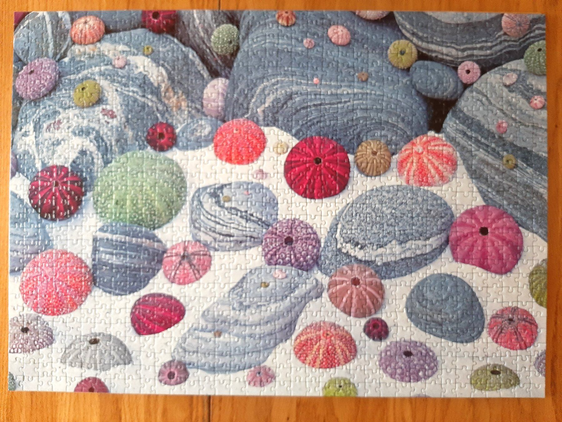 Puzzle: Puzzle 1000er Buntes Strandgut – Usato da Flaach venduto da maj_w_ 2