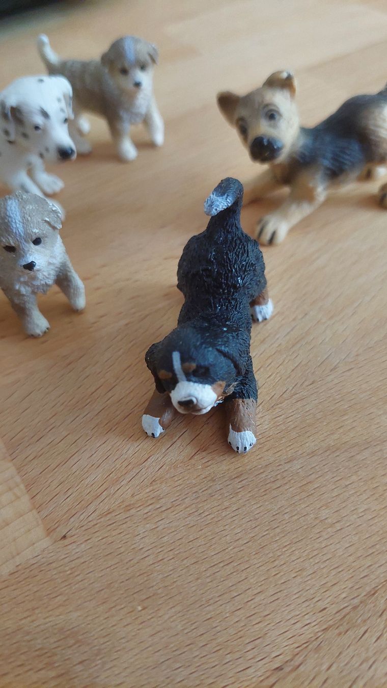 Schleich Statuette: Schleich Hundefiguren  – Usato da Basel venduto da Jonny.44 2