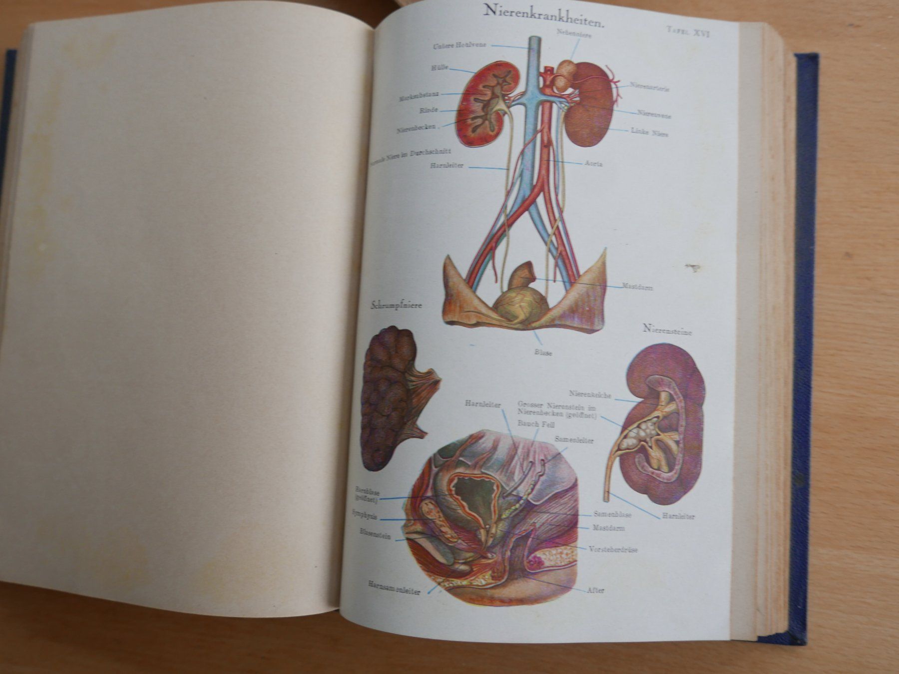 Libri: Antikes Buch "Selbsthilfe", mit Illustrationen – Usato da Rotkreuz venduto da nigal 2