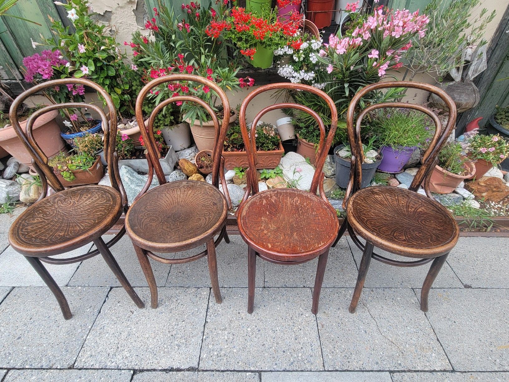 Chaises: 4 Bugholzstühle antik – D'occasion à Sils im Domleschg par platin01 5