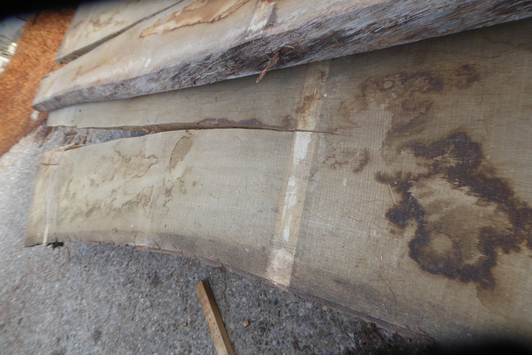 Holzartikel: 2 Eichenbretter 5.5 cm – Neu (gemäss Beschreibung) aus Sumiswald von Hennri1 4