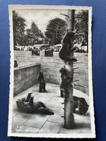 Alte Ansichtskarte Bärengraben Bern, Rarität, 1946
