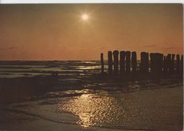 Postkarte ungelaufen Belgien - Belgische Nordseeküste