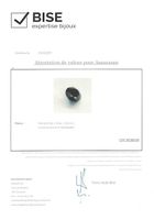 Valeur Assurance 30'200 Diamant Noir 15.22 ct Certificat GIA