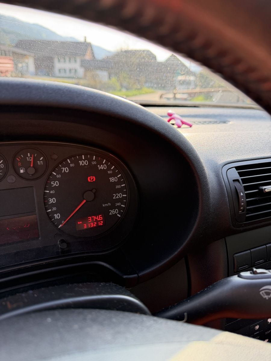 Audi Automobili: Audi a3 1.9 tdi – Usato da Soulce venduto da Dol25 8