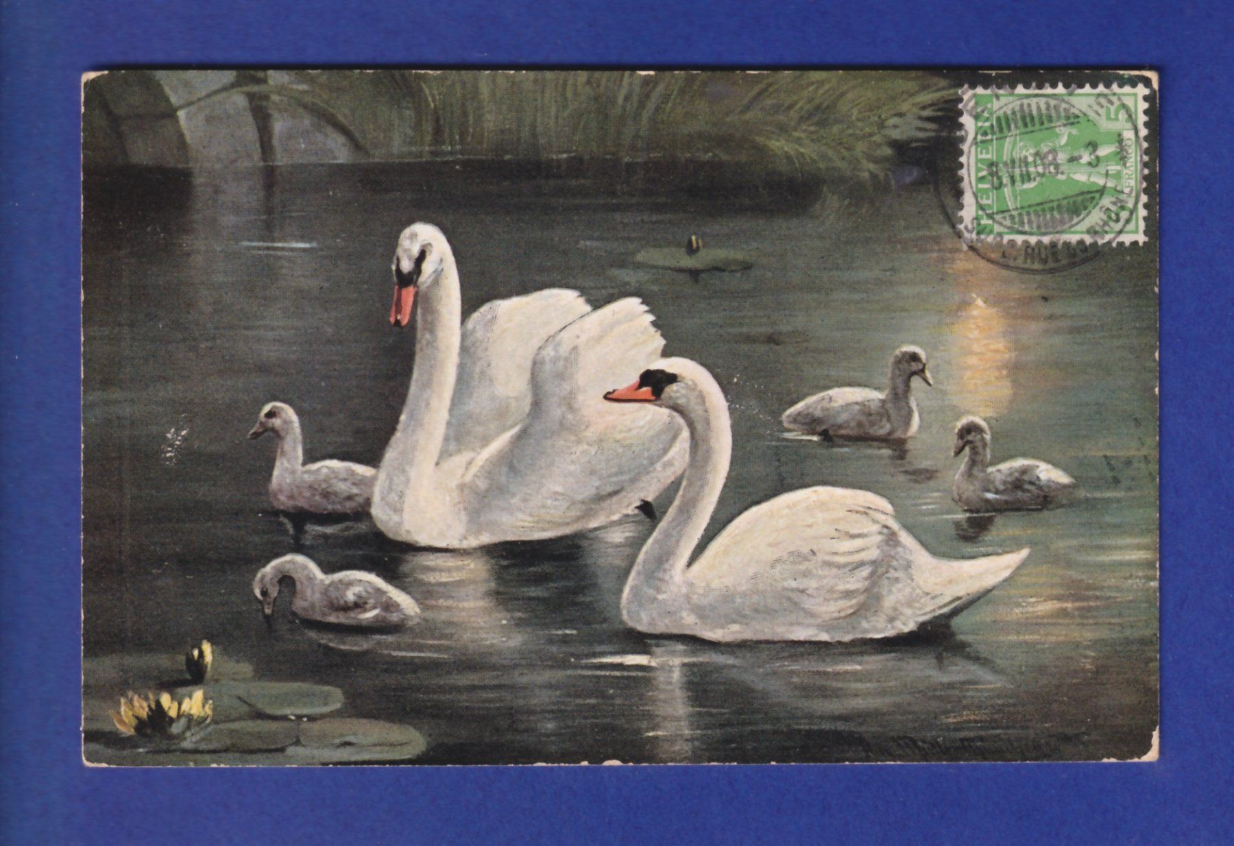 Ansichtskarten: OISEAU - Cygnes – Gebraucht aus Pully von nicecards-shop