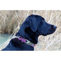 blau "uni" Harris Tweed Hundehalsband und Leinen-Set