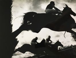 Sport, Pferderennen, Horse Racing - by David Ashdown (28x35)