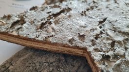 MICASA shabby landhaus holz deko sterne 2 stück **NEU**